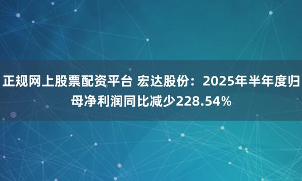 正规网上股票配资平台 宏达股份：2025年半年度归母净利润同比减少228.54%