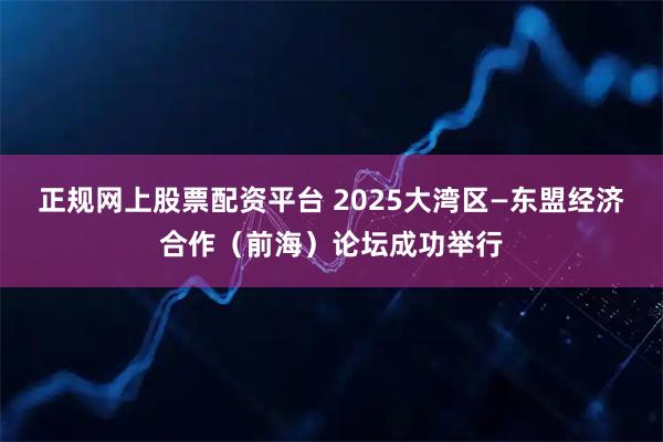 正规网上股票配资平台 2025大湾区—东盟经济合作（前海）论坛成功举行